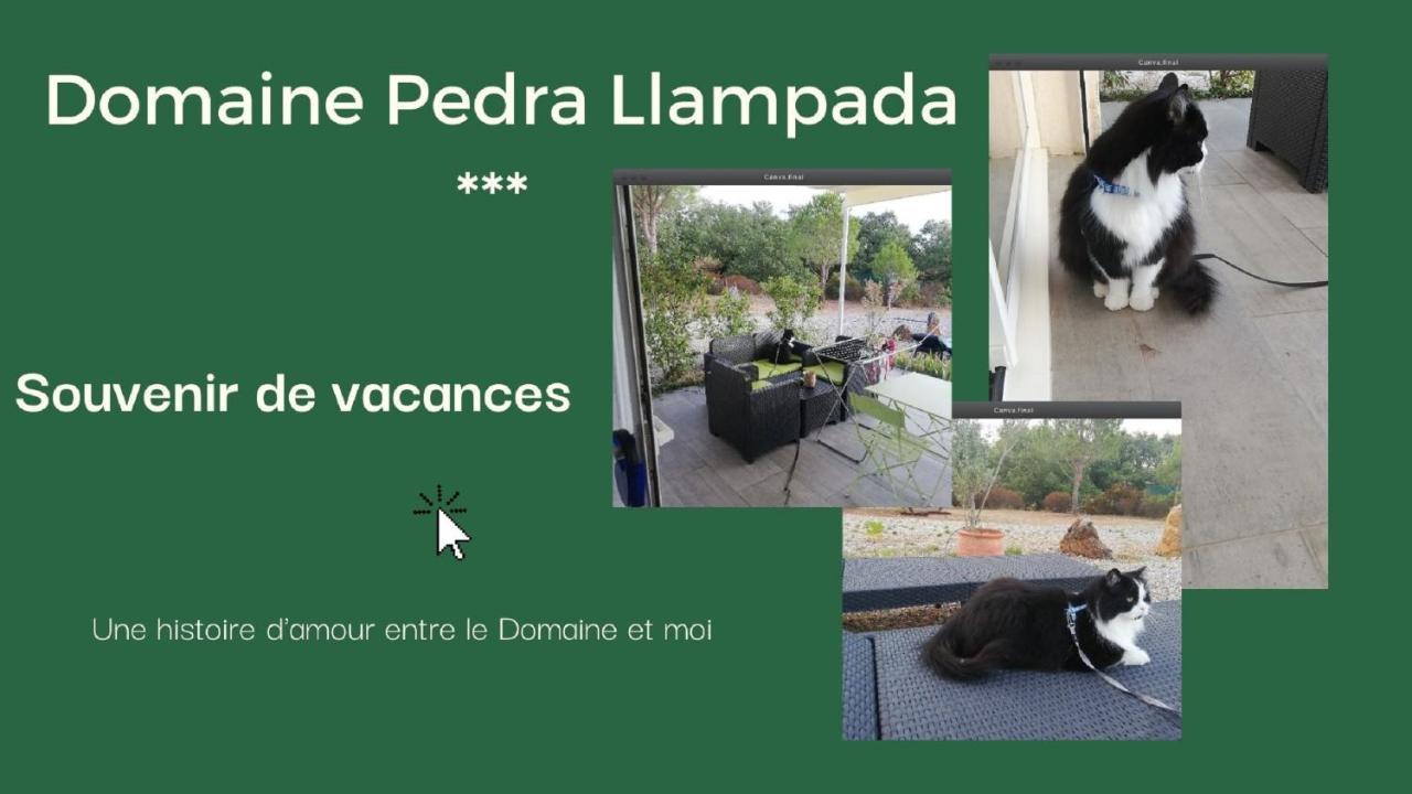 Domaine Pedra Llampada Gites Montagne Villelongue-dels-Monts Kültér fotó